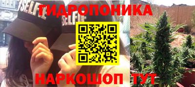 СК Обь
