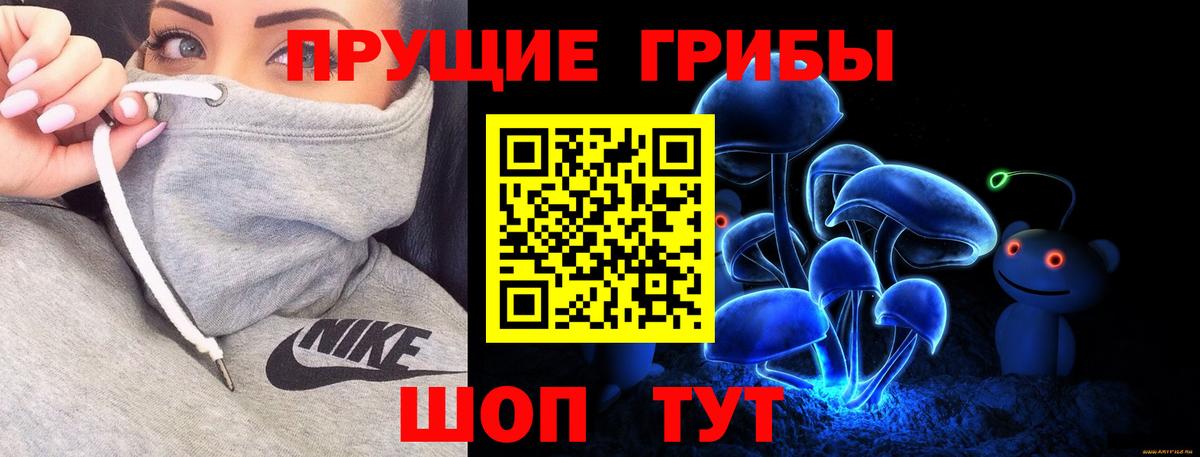 Псилоцибиновые грибы Psilocybe  Вход с VPN  Спасск-Дальний  что такое наркотик  Псилоцибиновые грибы GOLDEN TEACHER 